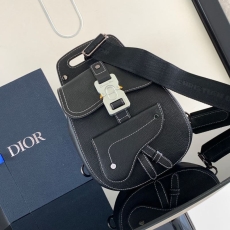 Christian Dior Waist Chest Packs